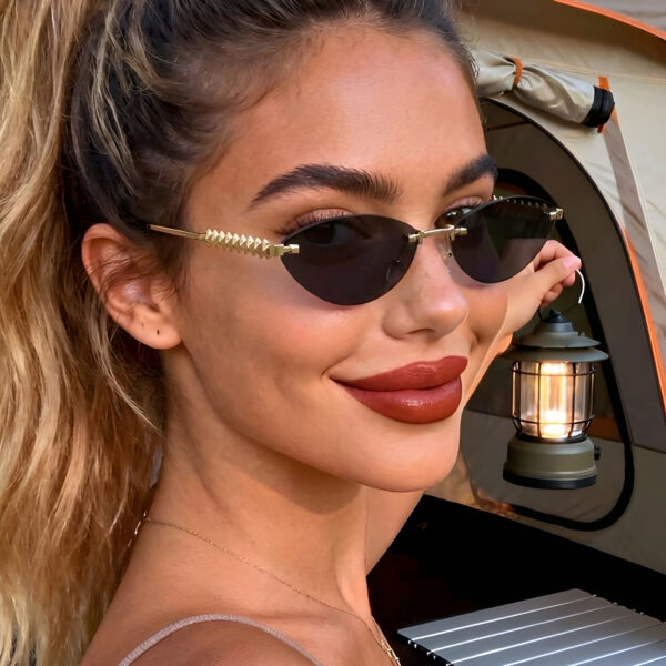 Cat Eye Small Frame Sunglasses, WAC-008