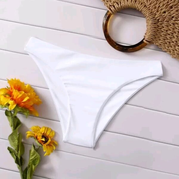 Basics Summer Beach Solid Bikini Panty WSW-0014